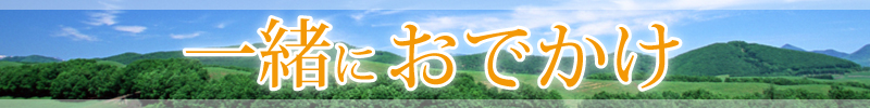 スーツケースの選び方